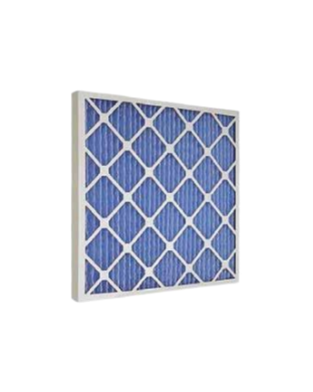 Disposable Pleated Filter